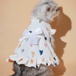 Pet Dress