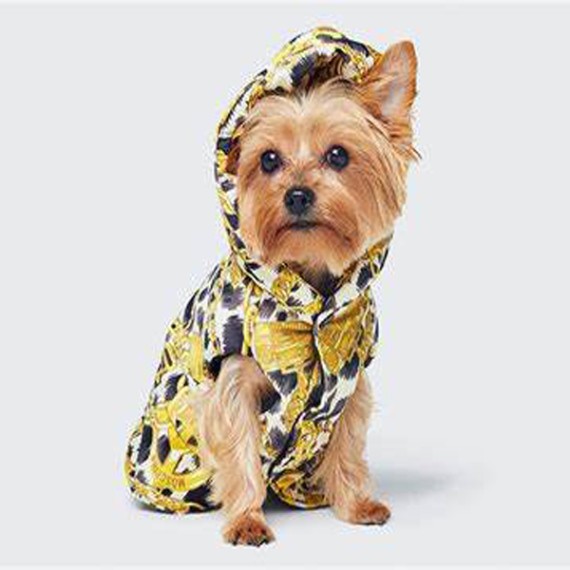 https://kvdesigners.npaym.com/products/pet-dress-001