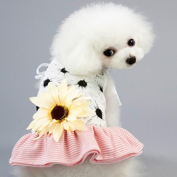 https://kvdesigners.npaym.com/products/pet-dress-002