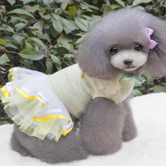 https://kvdesigners.npaym.com/products/pet-dress-003